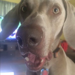 Meet your Posher, Alana